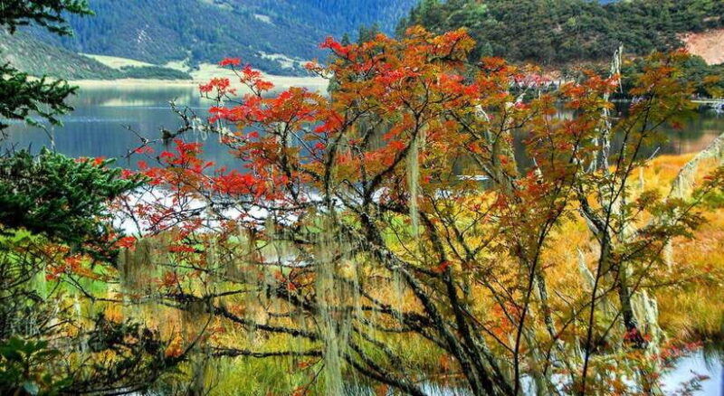 kunming-8-day-yunnan-impression-tour