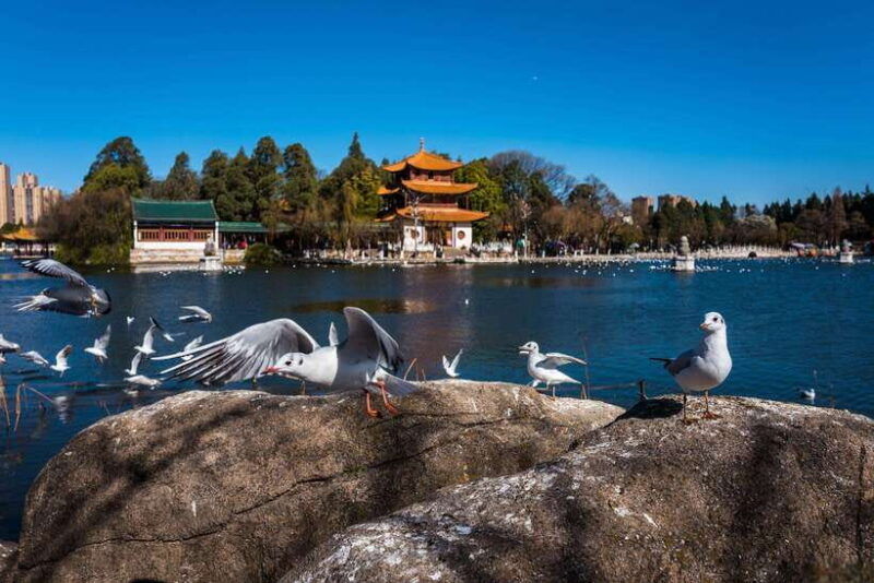 kunming-8-day-yunnan-tour-with-dali-and-lijiang