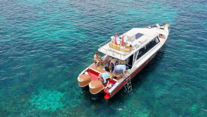 labuan-bajo-one-day-komodo-tour-snorkeling
