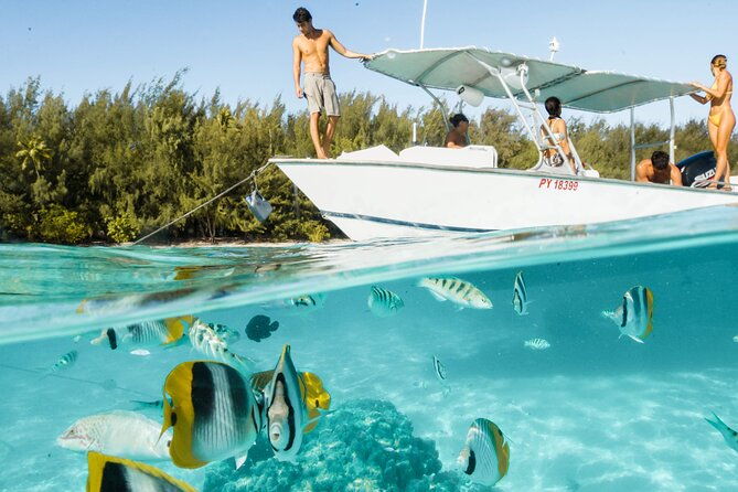 Lagoon Tour in Moorea in Small Group with Lunch - Key Points