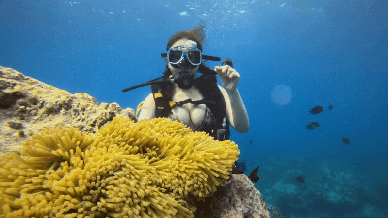 land-tour-with-scuba-diving-and-paraw-sailing