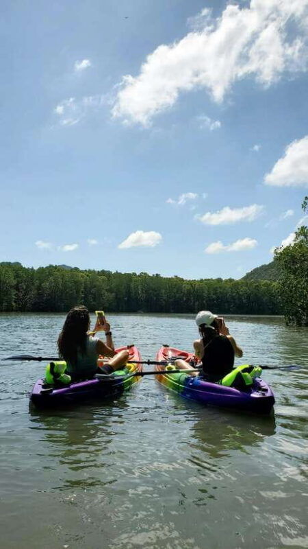 langkawi-kilim-geoforest-mangrove-kayak-tour-with-lunch