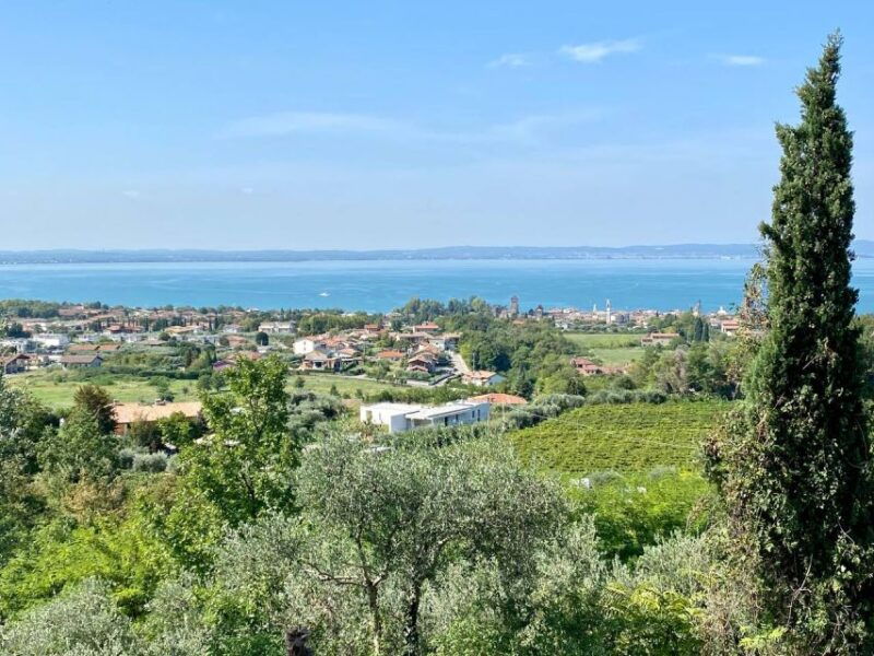 lazise-countryside-e-bike-tour-with-wine-tasting