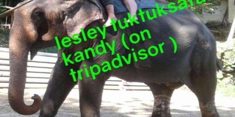 lesley-tuktuk-safari