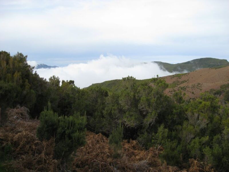 levada-do-alecrim-madeira-lakes-full-day-walk
