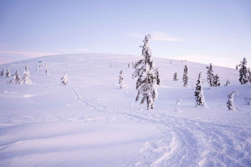 levi-backcountry-skiing-adventure