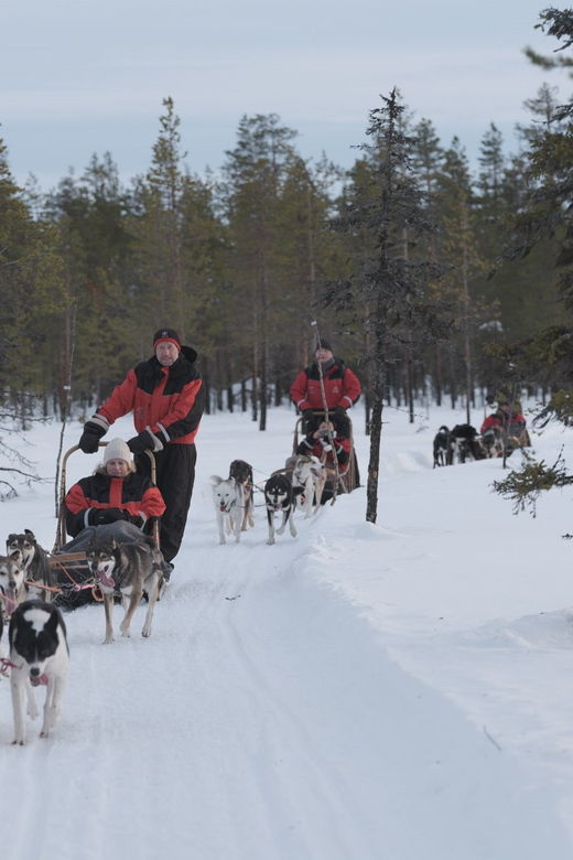 levi-follow-the-elves-one-day-husky-safari