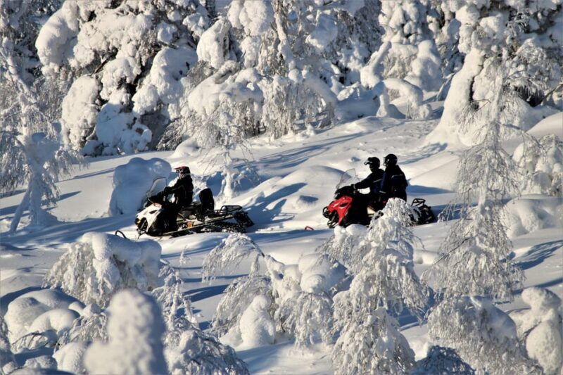 levi-forest-snowmobile-safari