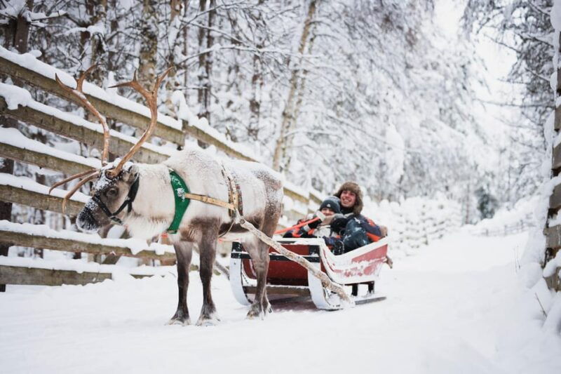 levi-husky-and-reindeer-farm-visit-with-snowmobiling