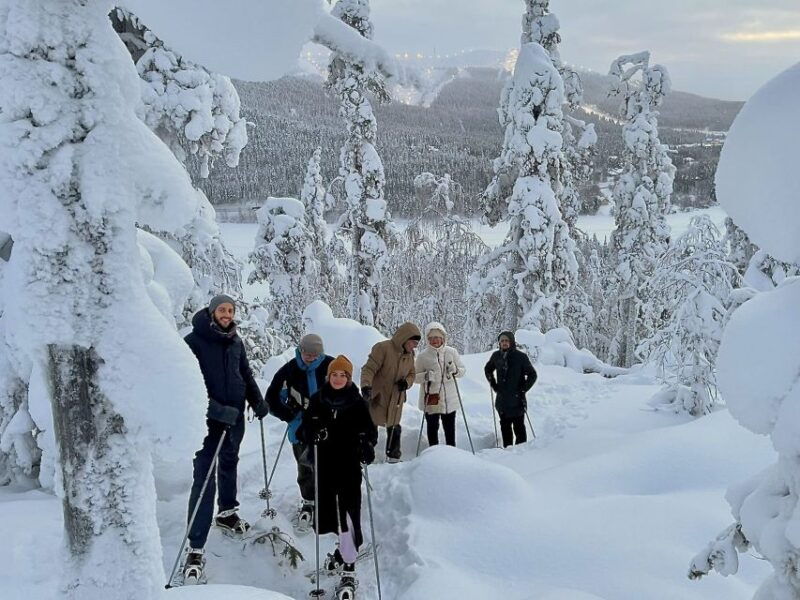 levi-lakeside-forest-snowshoeing