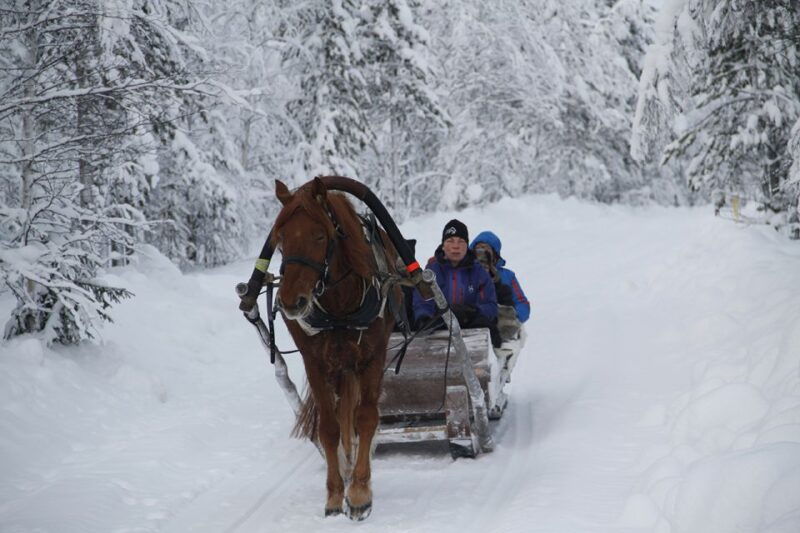 levi-polar-lights-tours-one-horse-open-sleigh-ride