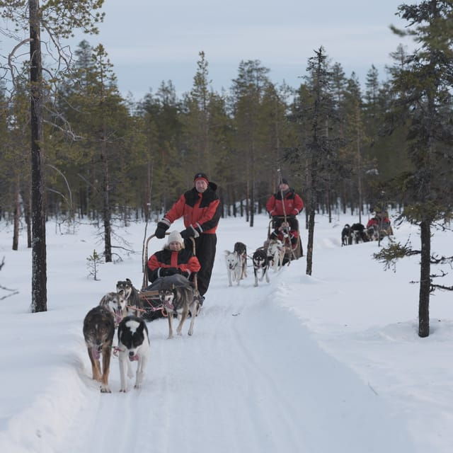 levi-polar-lights-tours-path-of-the-gnome-husky-safari-15km