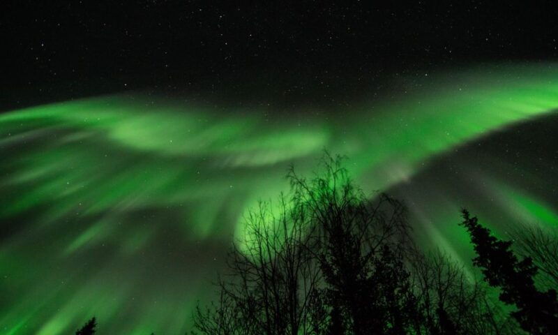 levi-search-for-northern-lights-in-snowmobile-sleigh