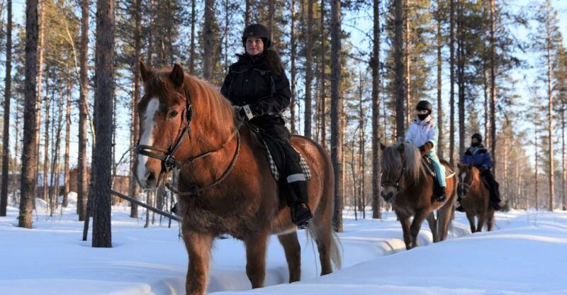 levi-snowy-forest-ride-and-polar-lights-tours