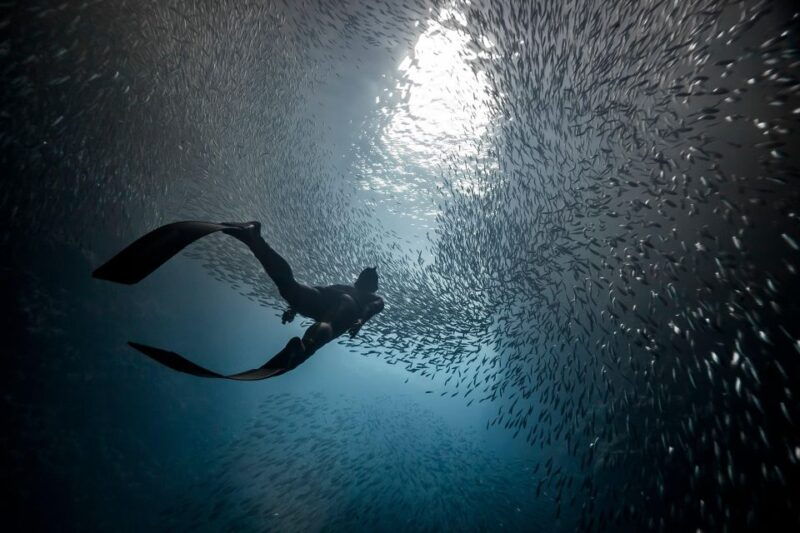 ligaria-beach-discover-free-diving-apnea