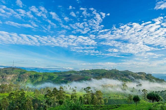 Lipton's Seat and Tea Factory,Trail Amidst Tea Plantation Day Tour - A Practical Look at the Lipton’s Seat and Tea Factory, Trail Amidst Tea Plantations Tour  