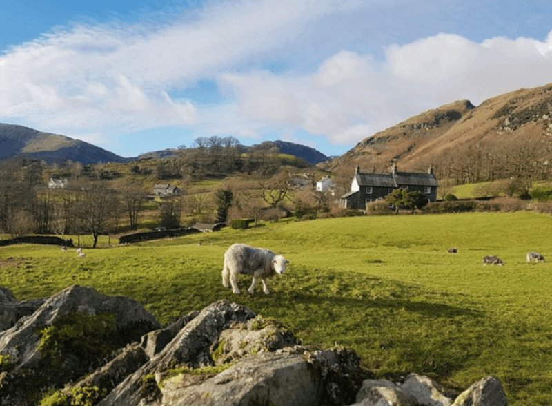 liverpool-lake-district-tour-with-lake-cruise-cream-tea