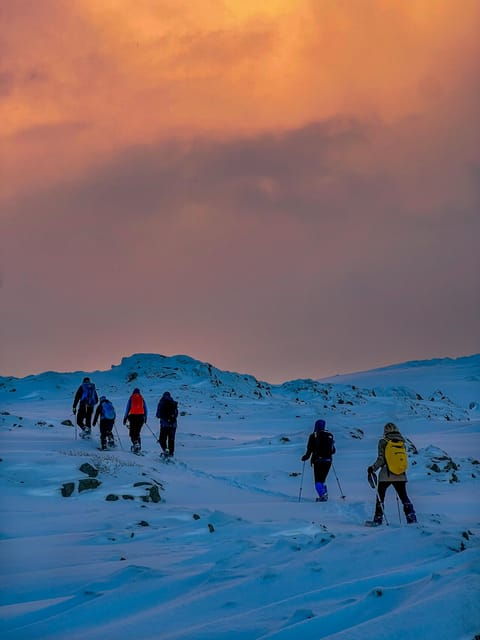 lofoten-half-day-snowshoe-tour
