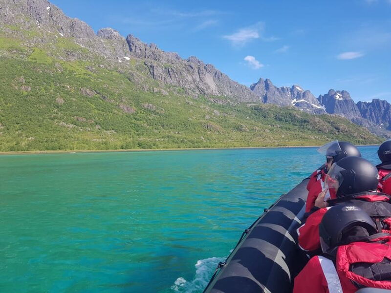 lofoten-trollfjord-sea-eagle-safari-by-rib-boat