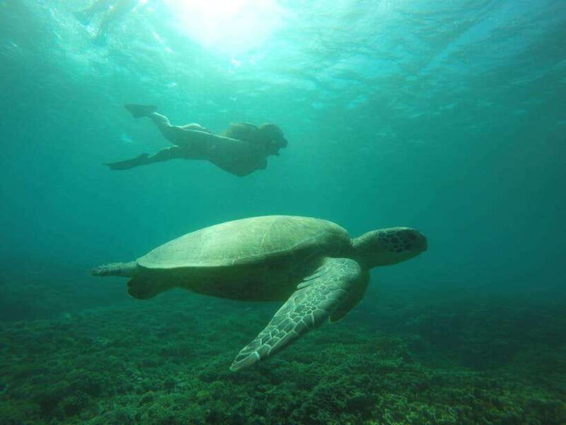 lombok-4-day-sea-nomad-adventure-to-labuan-bajo