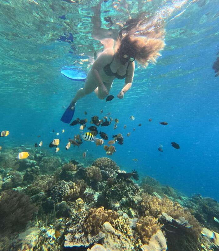 lombok-gili-nanggu-sudak-and-kedis-snorkeling-tour
