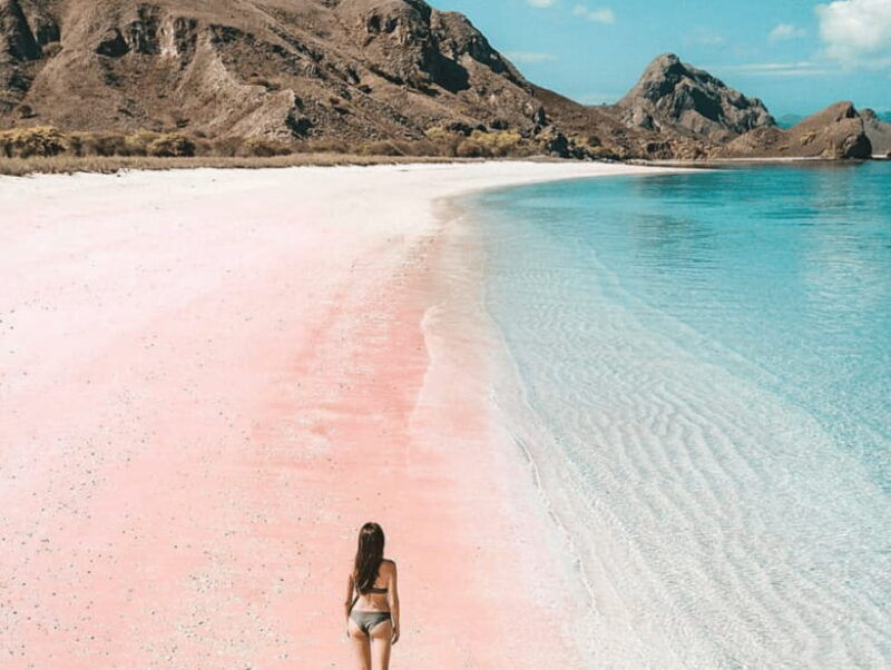 lombok-pink-beach-snorkeling-and-picnic-tour-fullday