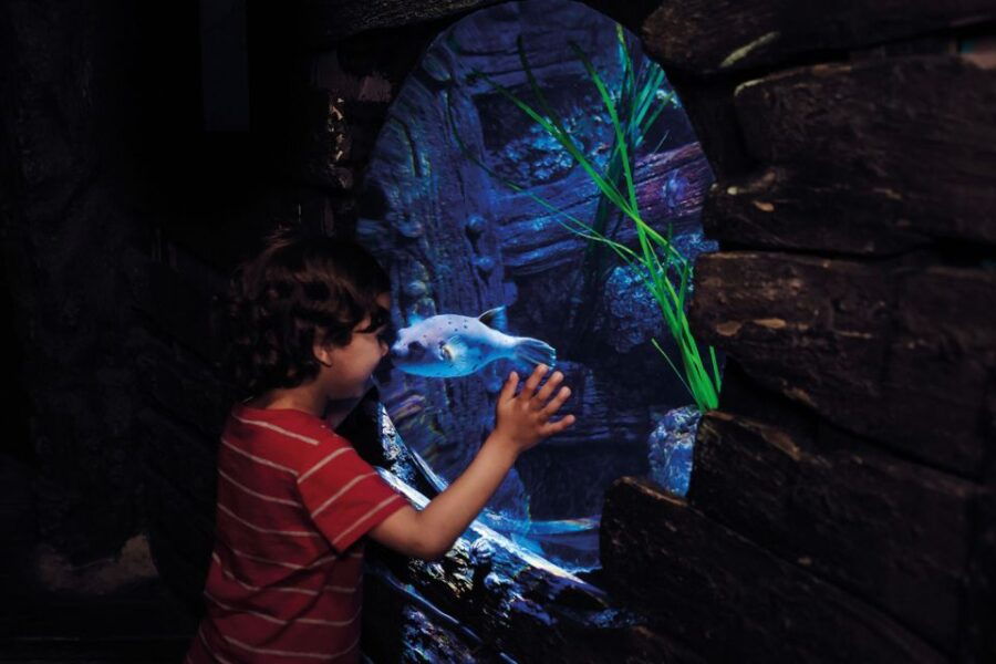 london-madame-tussauds-london-eye-sea-life-combo-ticket