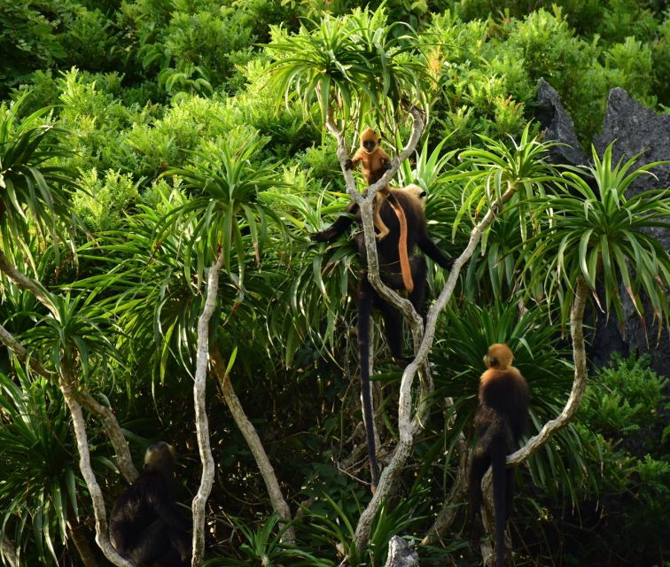 long-trekking-catba-national-park-lan-ha-bay-full-day-trip