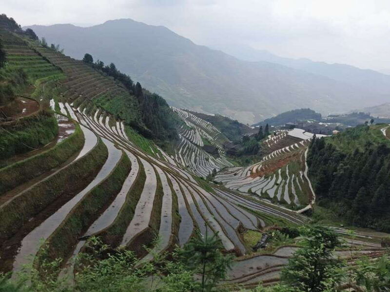 longji-rice-terraces-full-day-private-tour-from-guilin