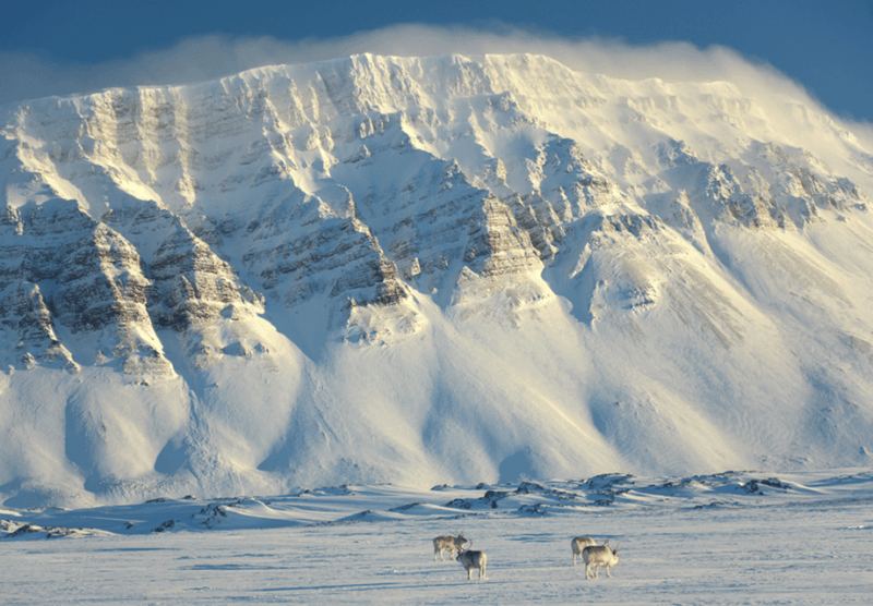 longyearbyen-snowmobile-tour-to-tempelfjorden-with-lunch