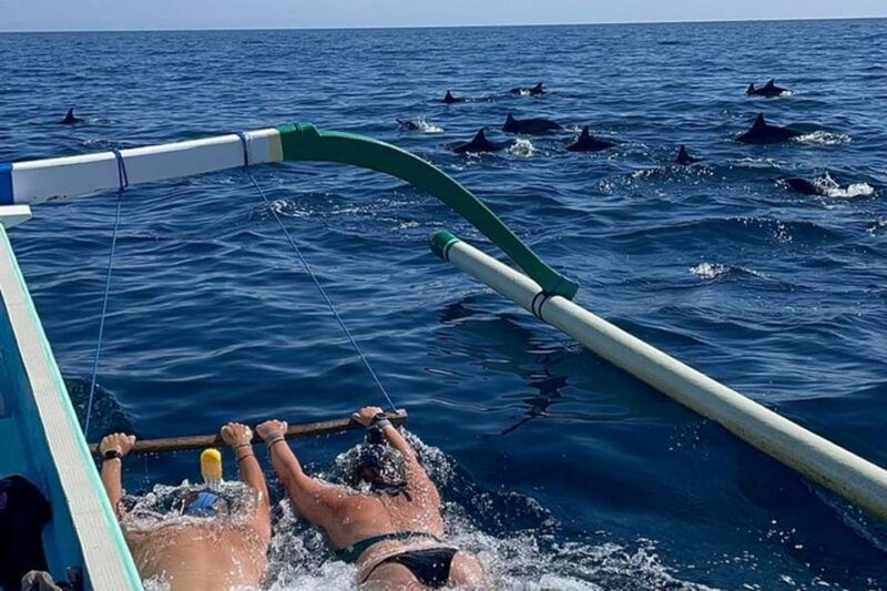 lovina-dolphin-watching-snorkeling-and-swim-with-dolphin