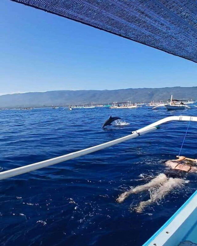 lovina-special-full-trip-dolphin-watch-swim-and-snorkel