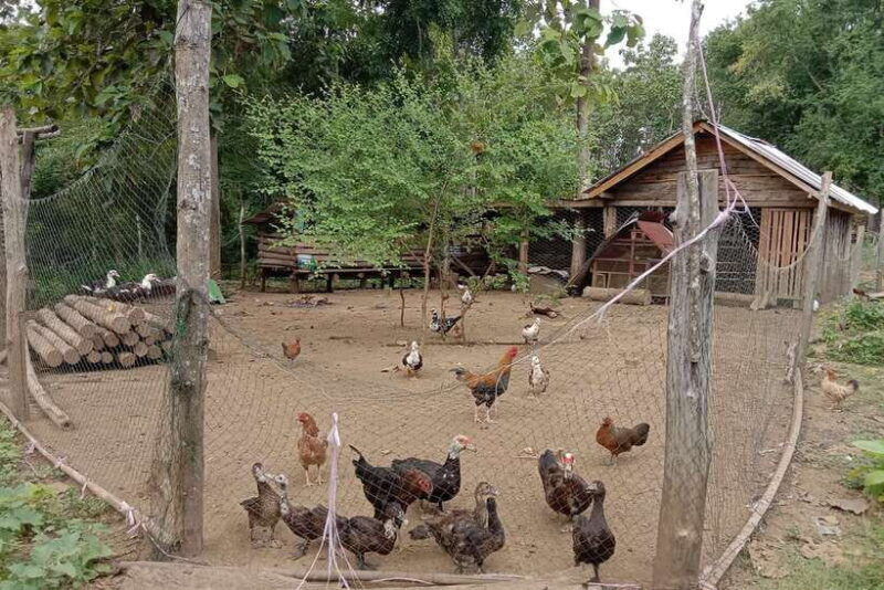 luang-prabang-organic-farm-experience-hike-to-kuang-si