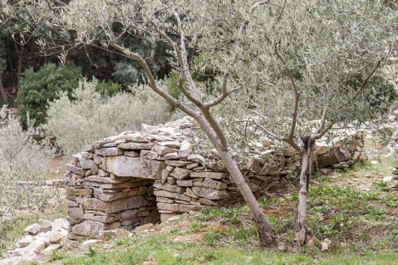 luberon-plague-wall-bike-ride