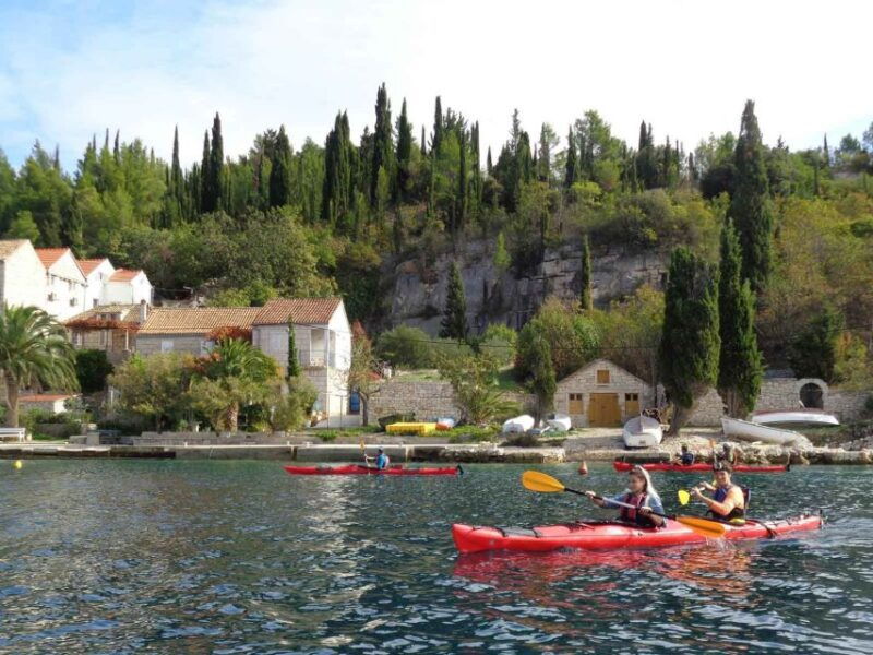 lumbarda-half-day-kayaking-and-history-with-wine-delight