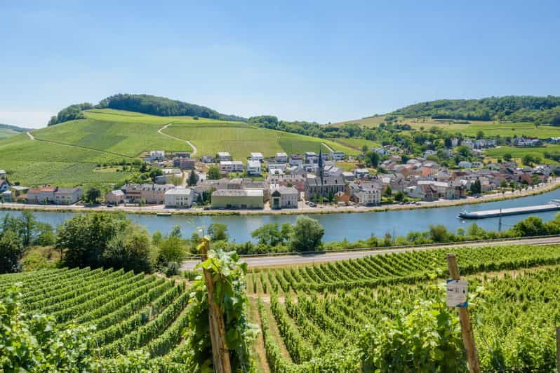 luxembourg-moselle-day-trip-with-wine-tasting-and-boat-tour