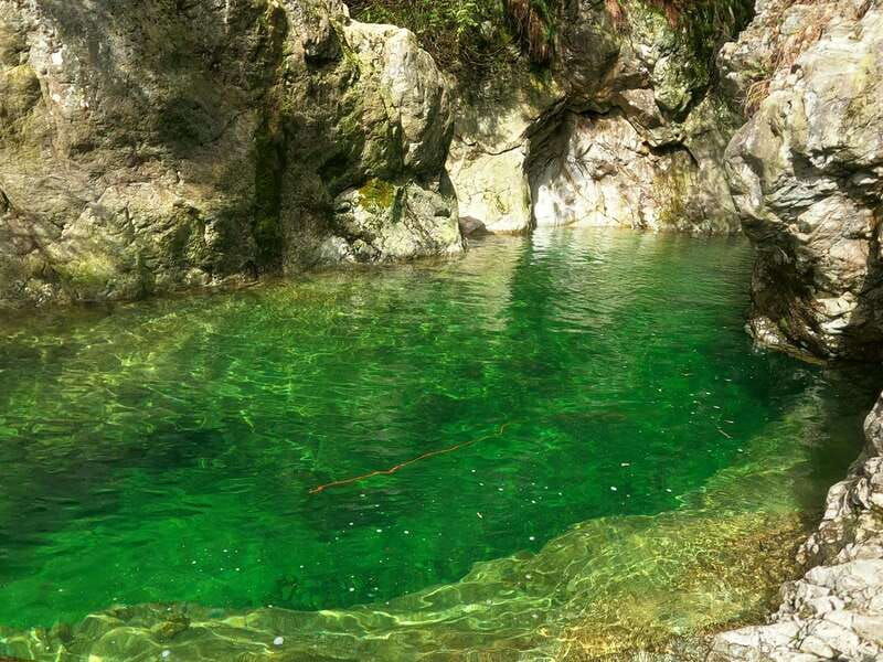 lynn-canyon-suspension-bridge-grouse-mount-private-tour