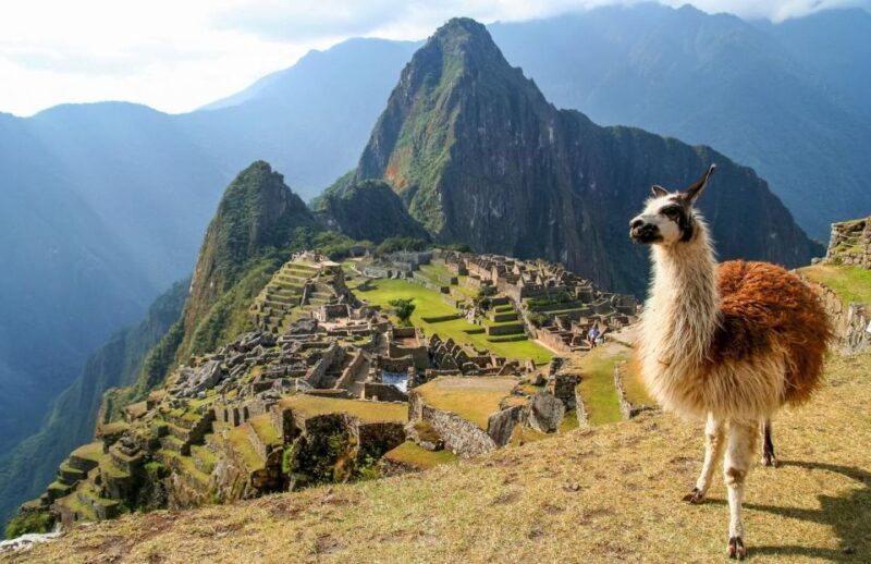 machu-picchu-entry-ticket-exclusive-for-andean-community