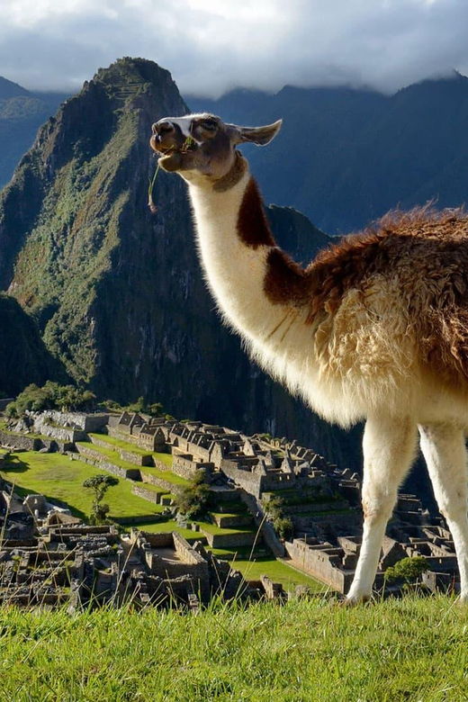 machu-picchu-one-day-trip-from-cusco