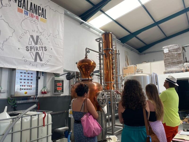 madeira-distilleries