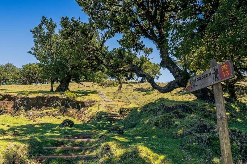 madeira-full-day-porto-moniz-jeep-tour