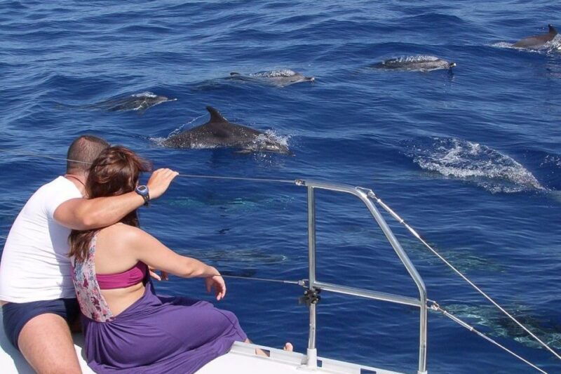 madeira-funchal-sunset-tour-by-catamaran