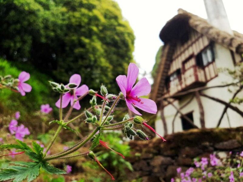 madeira-island-caldeirao-verde-levada-walk