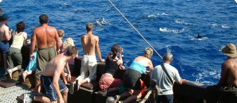 madeira-pirate-ship-3-hour-boat-trip
