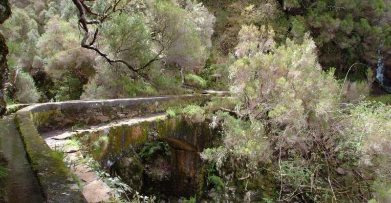 madeira-rabacal-valleys-3-hour-guided-walk