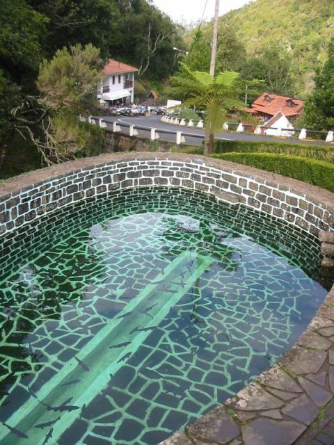 madeira-ribeiro-frio-to-portela-4-hour-guided-walk