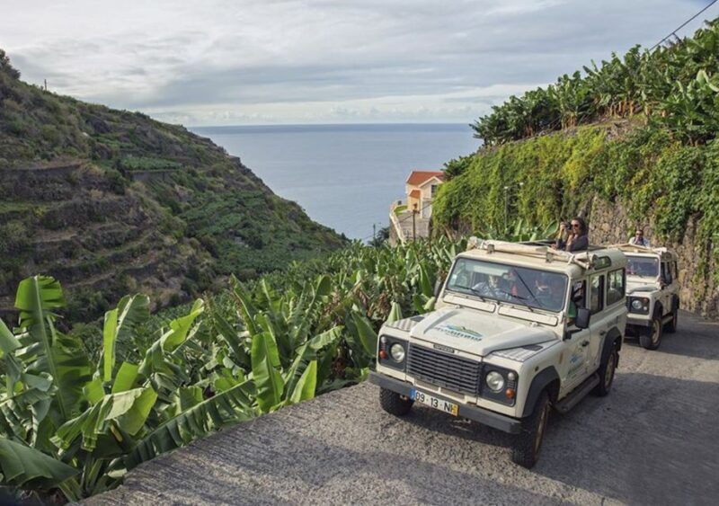 madeira-the-best-of-south-jeep-tour