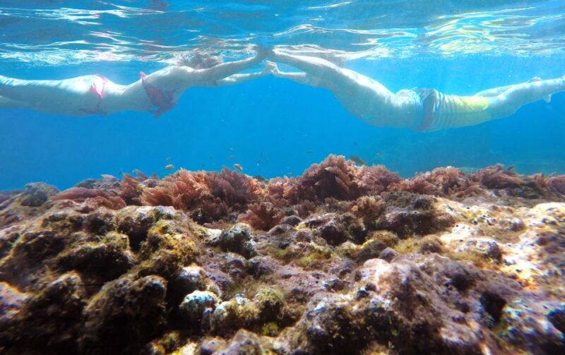 madeiras-marine-reserve-kayak-snorkelling-trip