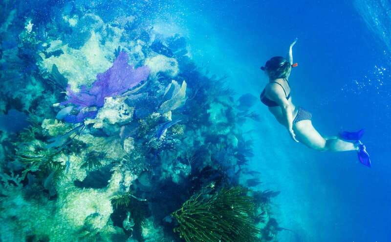 mahahual-snorkel-tour-in-reef-lagoon