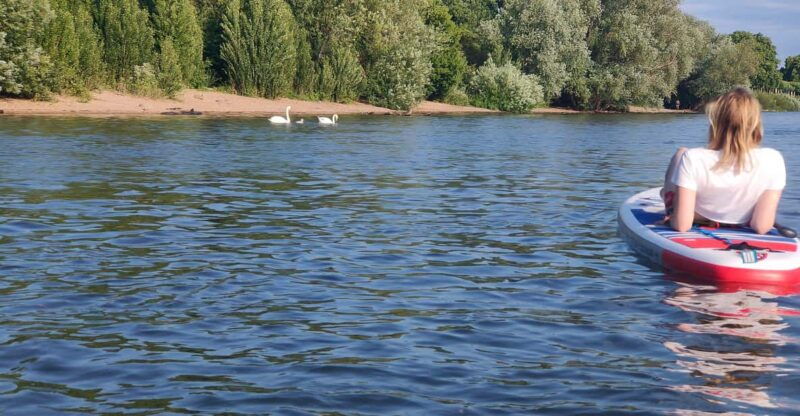 mainz-stand-up-paddling-tour-on-the-rhine-river